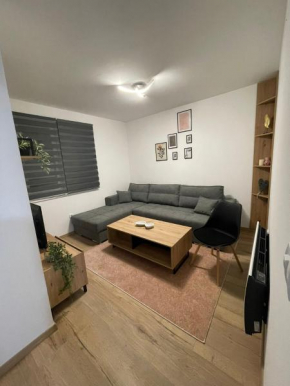 Apartman Danica 23